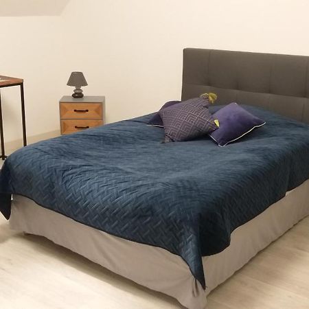 Le Gite Au Pied Du Chateau De Chaumont Extérieur photo